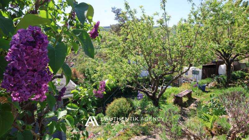 Vue depuis le Zimmerberg à BARR sur le château d'Andlau